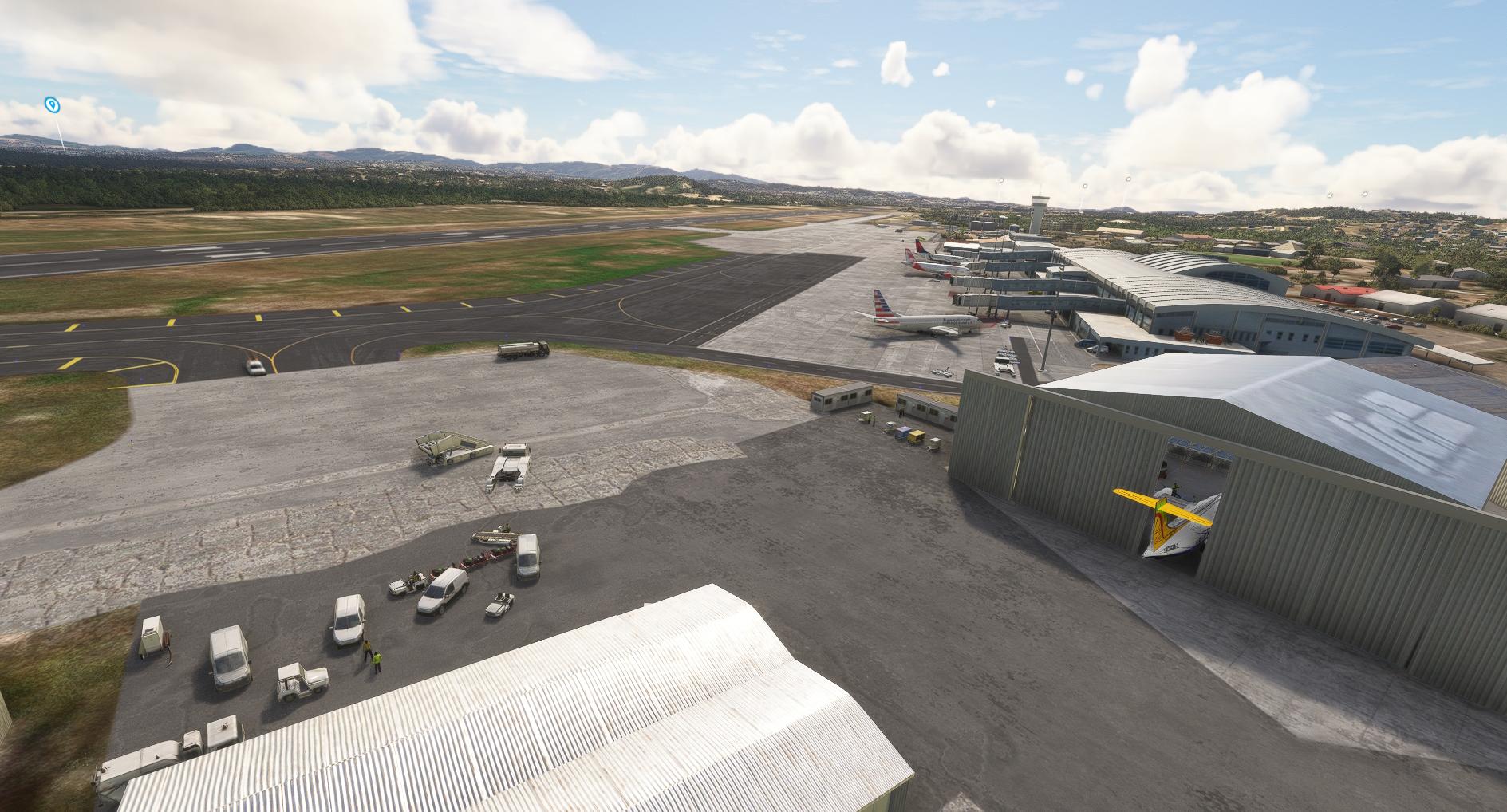 Vc bird3